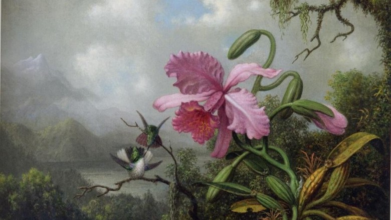 Gifted to  Mc Mullen Museum of Art: Winslow Homer, John Singer Sargent, Mary Cassatt, Childe Hassam, Albert Bierstadt, Martin Johnson Heade