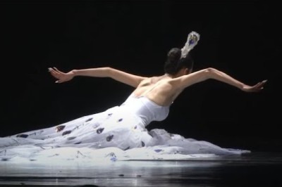 The Soul of Peacock