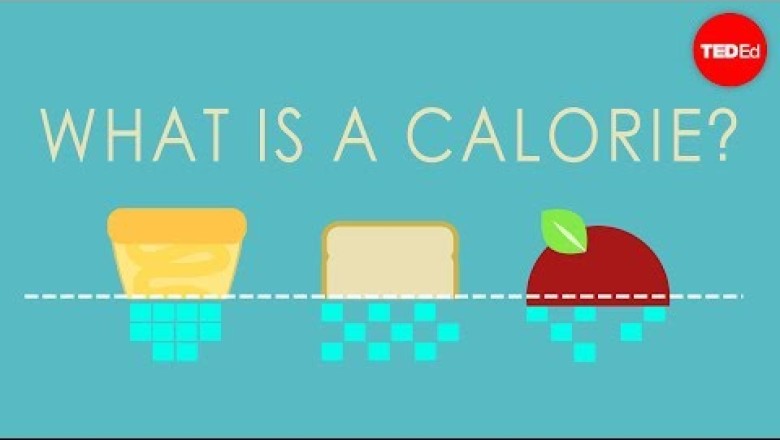 What is a calorie?