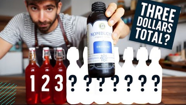 Brewing 10 Bottles of Kombucha for the Price of One?