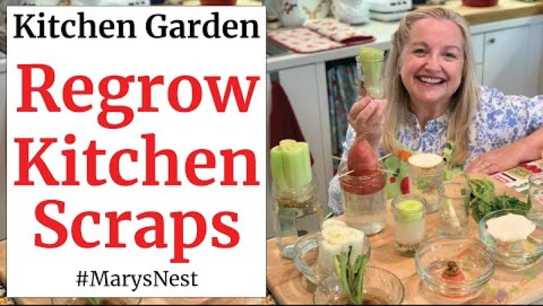 10 Vegetables You Can Regrow from Kitchen Scraps to Create a Recurring Harvest