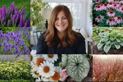 15 Perennials Every Garden Should Have!