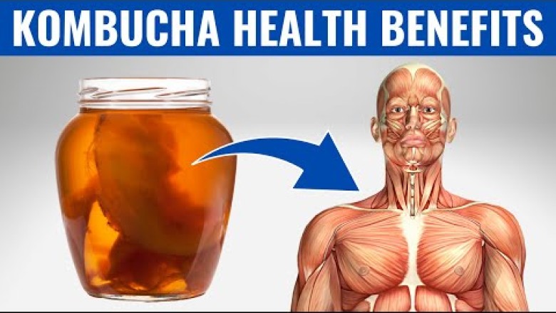 What Happens When You Drink Kombucha Every Day!