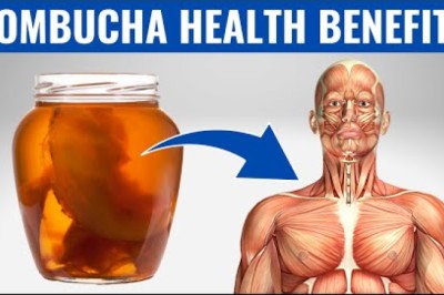 What Happens When You Drink Kombucha Every Day!