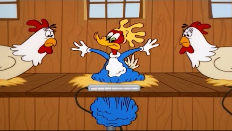 Chicken Woody
