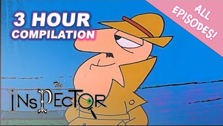 The Inspector