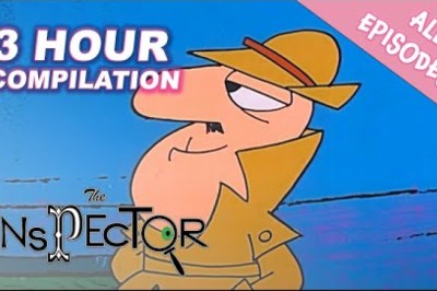 The Inspector
