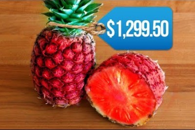 Most EXPENSIVE Fruits In The World!