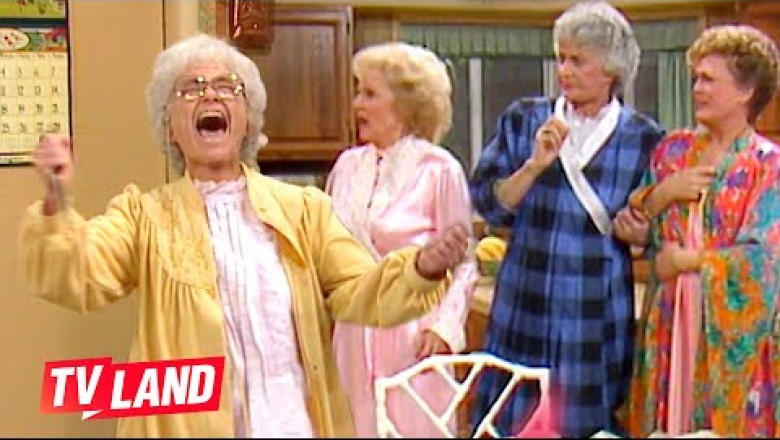 Best Cheesecake Moments on The Golden Girls