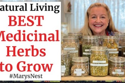 10 Essential Medicinal Herbs to Grow for Making Home Remedies
