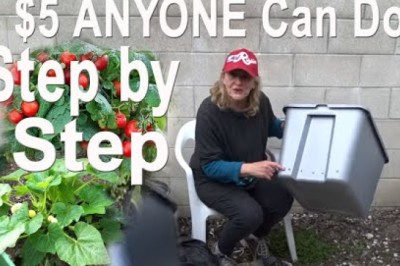 How To Build a RAISED BED Garden
