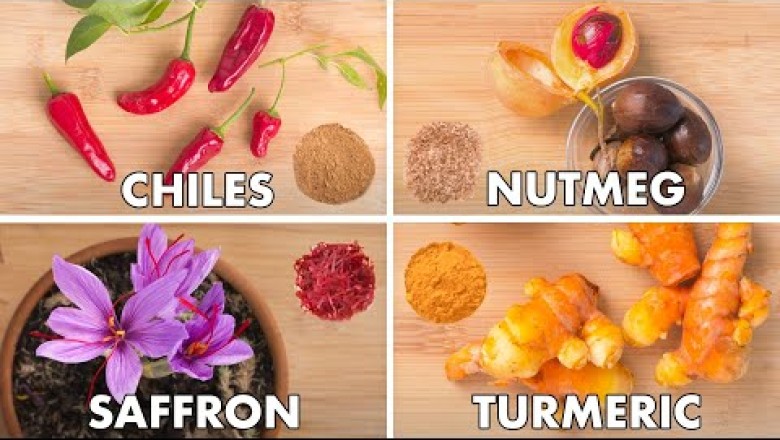 How To Grind Every Spice