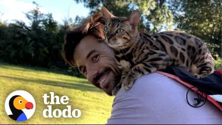 Cat Insists On Jumping Onto Her Dad's Shoulders For Bike Rides