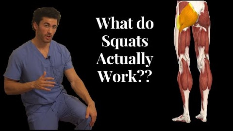 BEFORE YOU SQUAT, understand the ANATOMY behind it!