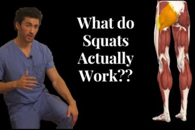BEFORE YOU SQUAT, understand the ANATOMY behind it!