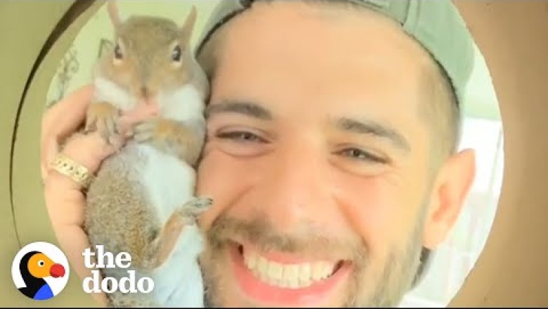 Guy Tried To Release His Rescue Squirrel But She Always Came Back