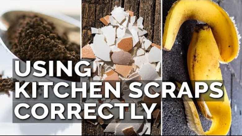 How to Use Eggshells, Banana Peels, and Coffee Grounds in the Garden