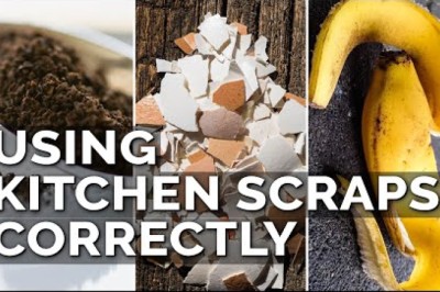 How to Use Eggshells, Banana Peels, and Coffee Grounds in the Garden