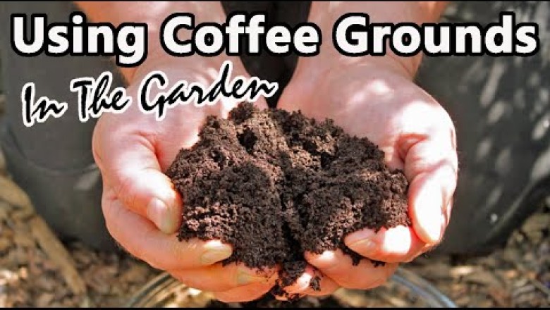 How to:  Using Coffee Grounds In Your Garden