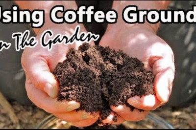 How to:  Using Coffee Grounds In Your Garden