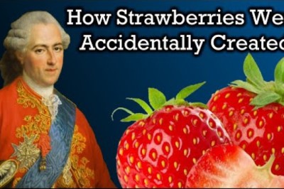 The Unbelievable History of Strawberries