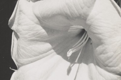 Georgia O’Keeffe, Photographer
