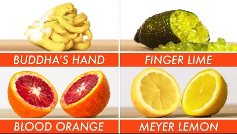 Picking The Right Citrus For Every Recipe - The Big Guide