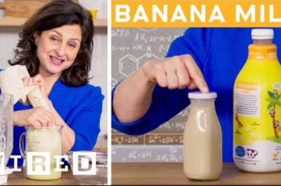 Food Scientist Breaks Down Every Plant-Based Milk