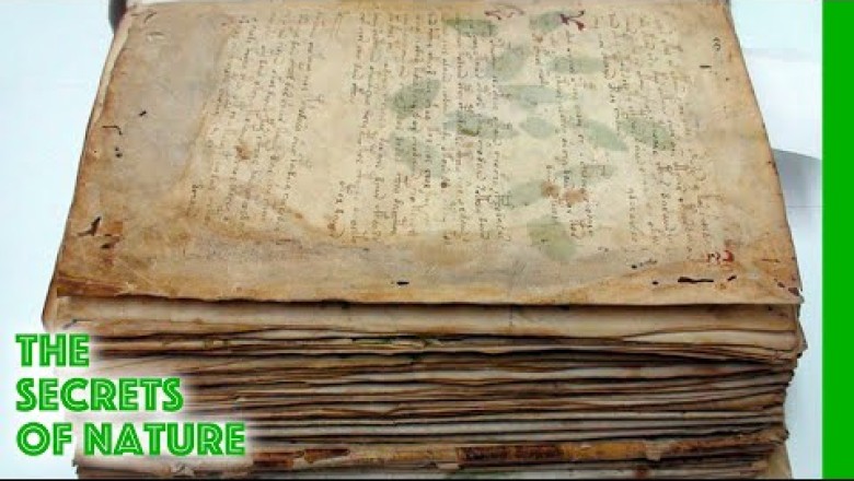 The Voynich Code