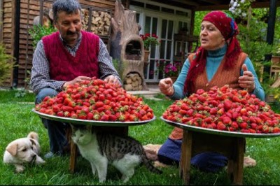 Making Fresh Strawberry Jam and Cake in the Village