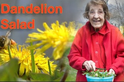 Great Depression Cooking - Dandelion Salad