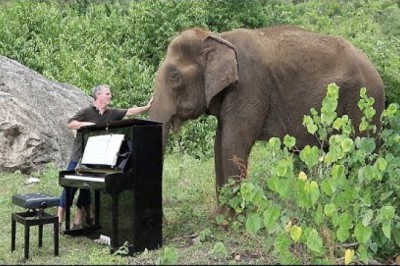 Debussy 