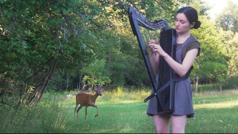 The Deer That Loves Harp