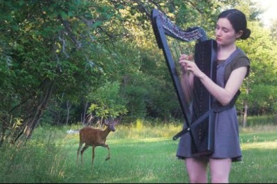 The Deer That Loves Harp