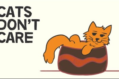 What Cats Teach Us About Happiness (A Cat's Philosophy)