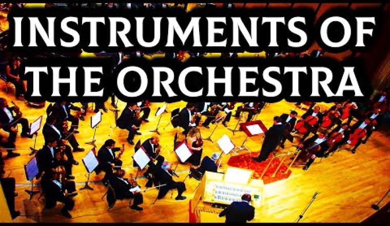 Instruments of the Orchestra