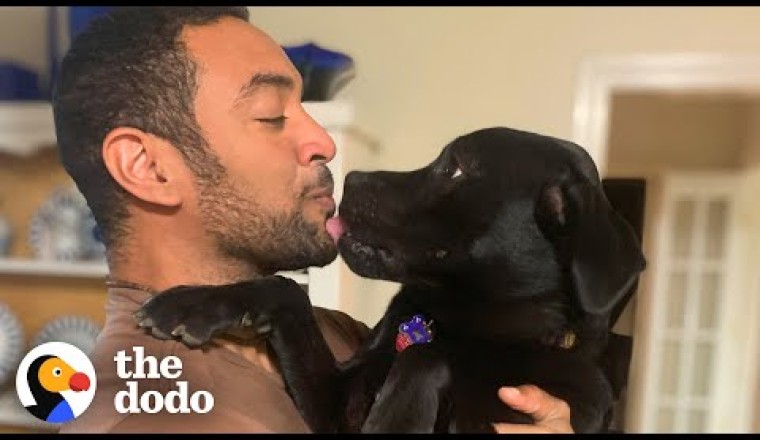 Misunderstood Rescue Puppy Who Keeps Getting Returned