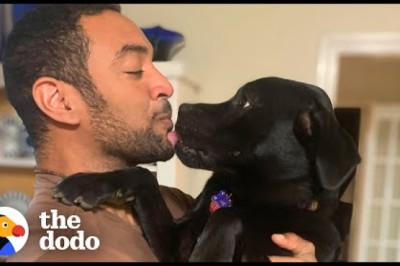 Misunderstood Rescue Puppy Who Keeps Getting Returned