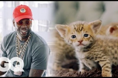 2 Chainz Plays with $165,000 Kittens