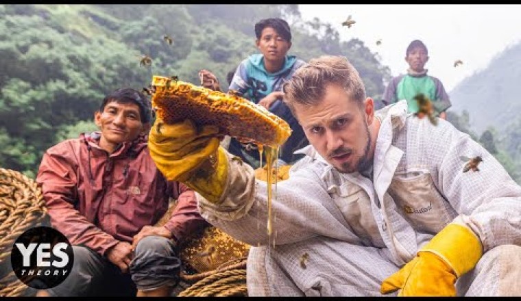 Hunting Nepal’s Mad Honey That Makes You Hallucinate