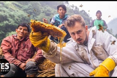 Hunting Nepal’s Mad Honey That Makes You Hallucinate
