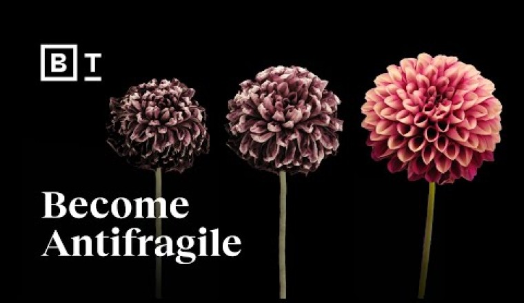 Don’t chase happiness. Become antifragile