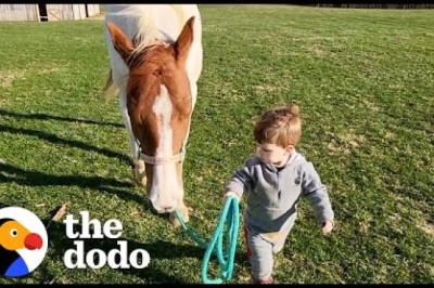 Horse Comes Running When Little Boy Calls Her Name