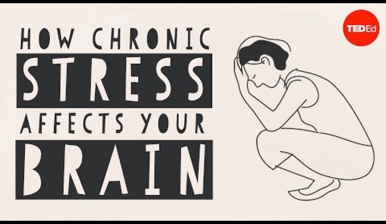 How stress affects your brain