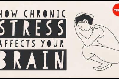 How stress affects your brain