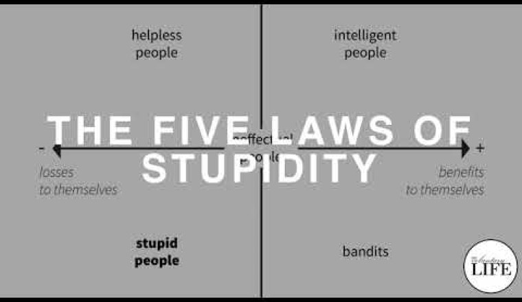 The Five Laws Of Stupidity