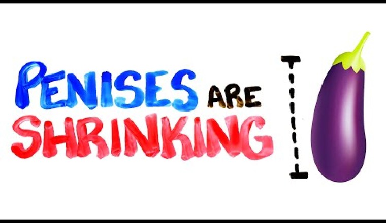 Why Your Penis Is Shrinking