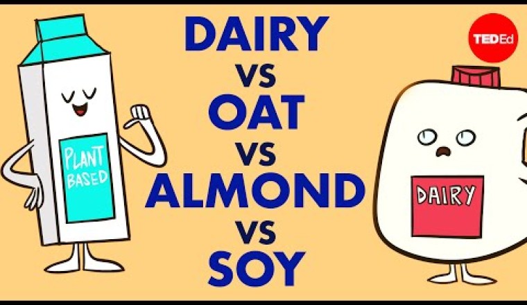 Which type of milk is best for you?