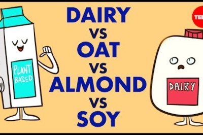Which type of milk is best for you?