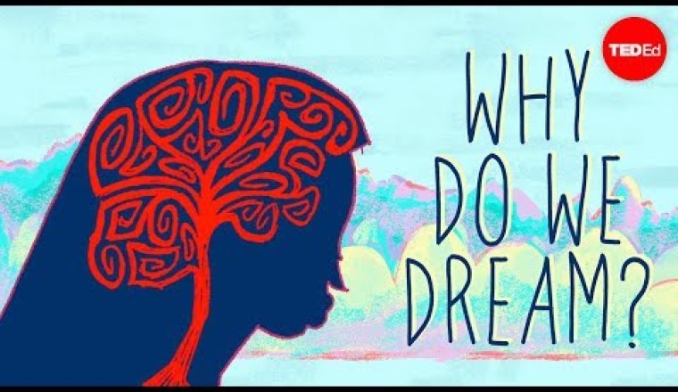 Why do we dream?